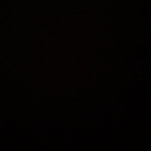 Meet your Posher, Shaney